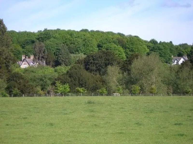 19th century vacant Durham castle, G281 (photo 77)