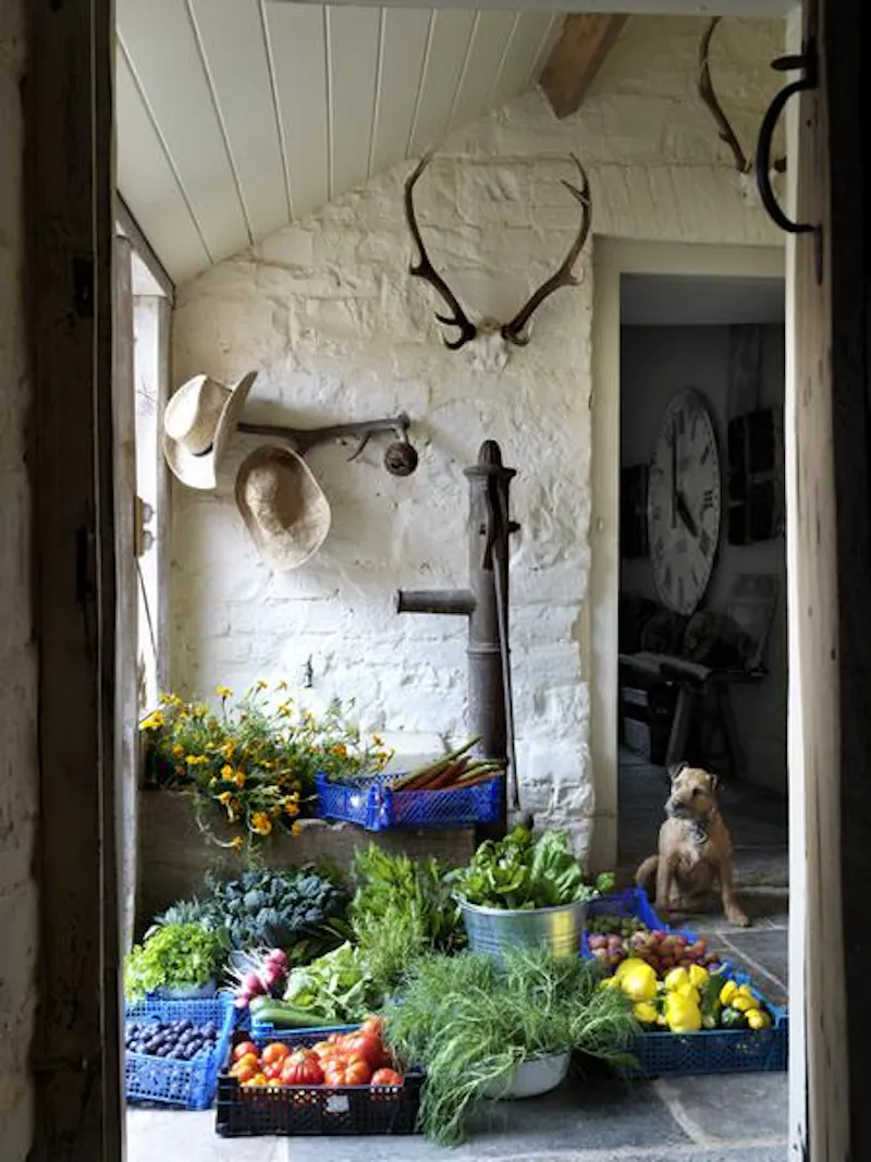 Picturesque Taunton farmhouse, L649 (photo 12)
