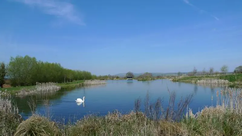 Lake at Picturesque Taunton farmhouse, L649 (photo 44)