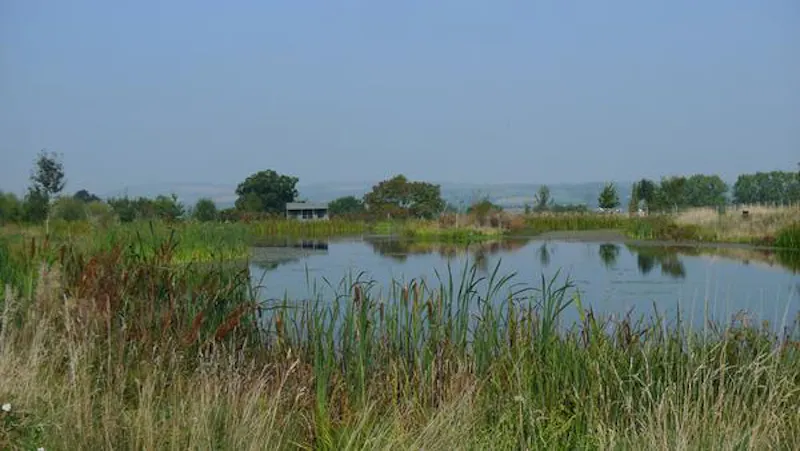 Pond at Picturesque Taunton farmhouse, L649 (photo 45)