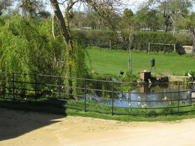 Picturesque Taunton farmhouse, L649 (photo 46)