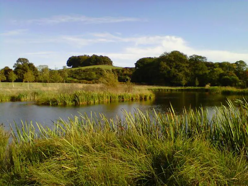 Picturesque Taunton farmhouse, L649 (photo 47)