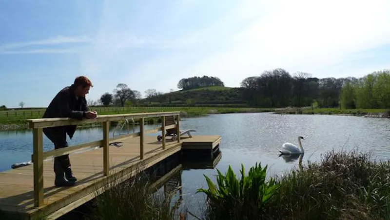 Picturesque Taunton farmhouse, L649 (photo 50)