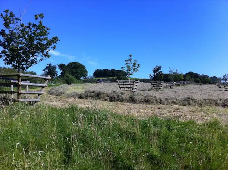 Picturesque Taunton farmhouse, L649 (photo 52)