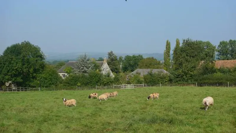 Views - country at Picturesque Taunton farmhouse, L649 (photo 59)