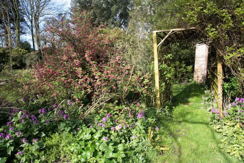 Stunning Kimmeridge estate, A1349 (photo 51)