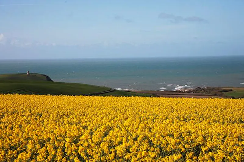 Stunning Kimmeridge estate, A1349 (photo 56)