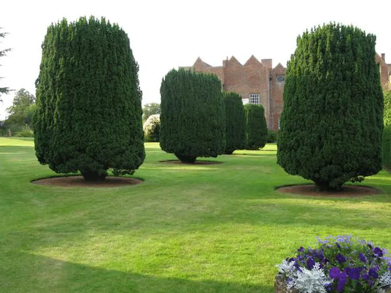 Woodbridge manor house, A1351 (photo 54)