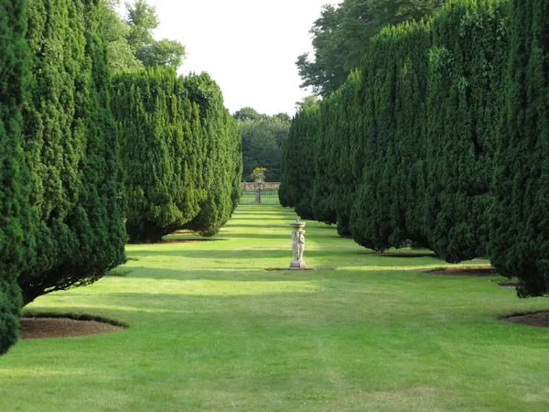 Woodbridge manor house, A1351 (photo 55)