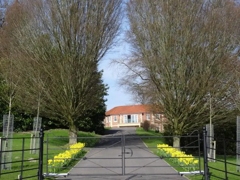 Driveway at Modern mansion near Liss, D2179 (photo 21)