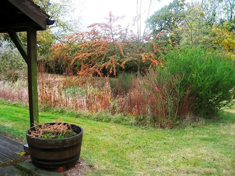 Medieval Kentish country house, M285 (photo 64)