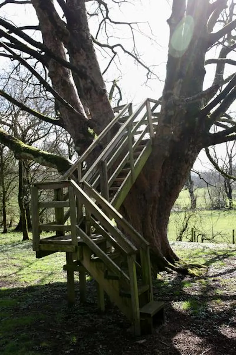 Substantial Downham manor house, G283 (photo 67)