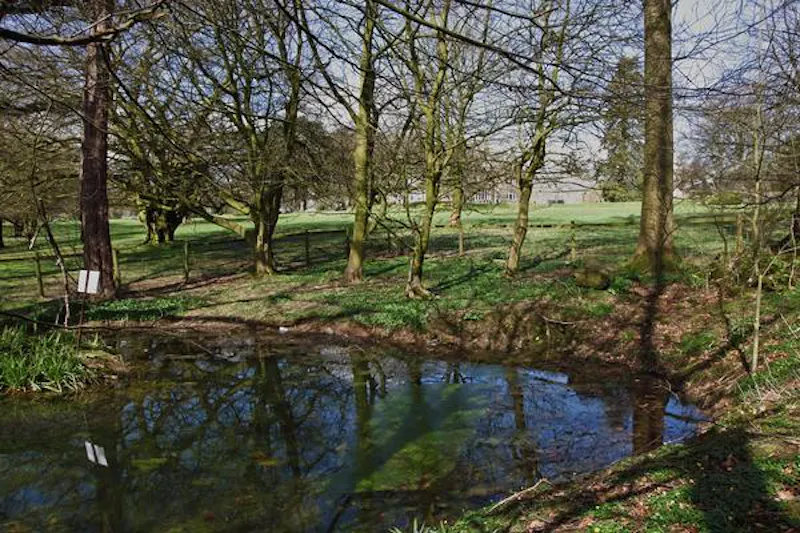 Lake at Substantial Downham manor house, G283 (photo 74)