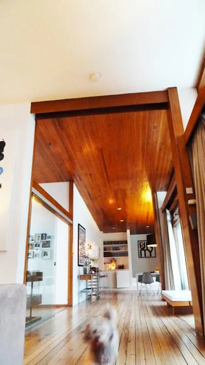 Bromley Modernist house, K391 (photo 13)