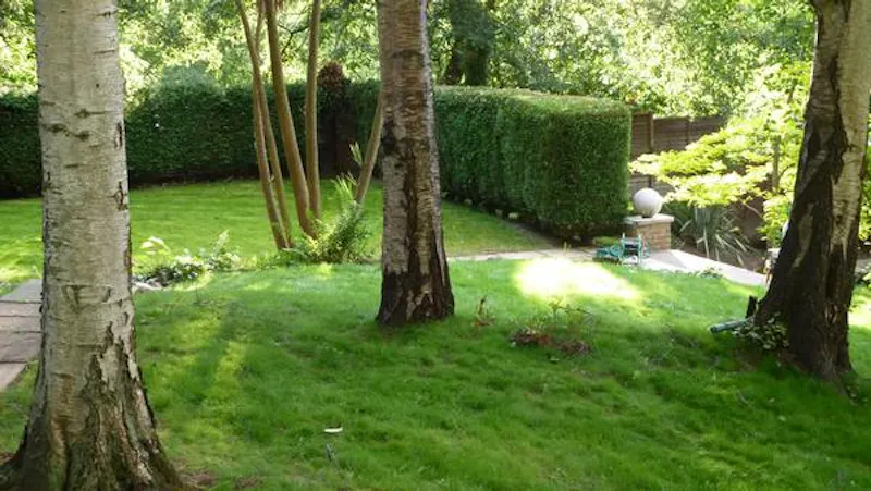 Bromley Modernist house, K391 (photo 44)