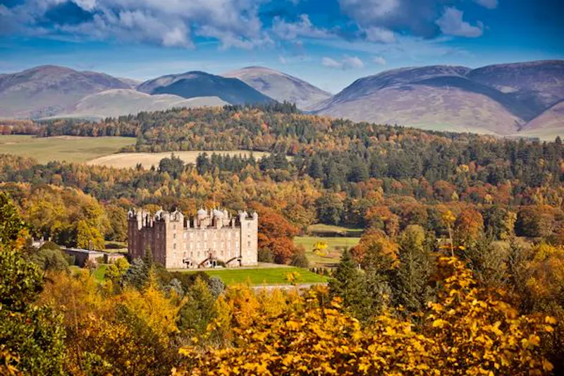 Woodland at Grand Galloway castle , G284 (photo 18)