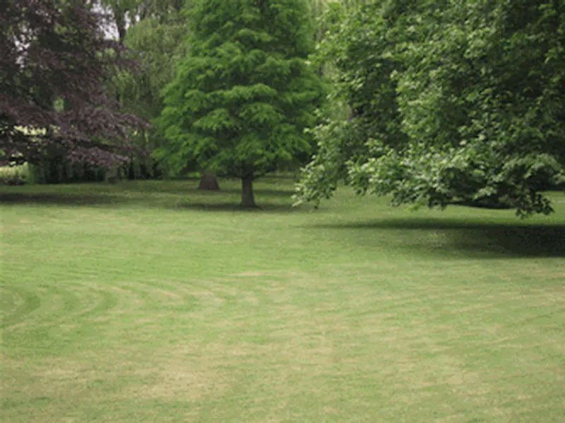 Film location H174 in Buckinghamshire (photo 14)