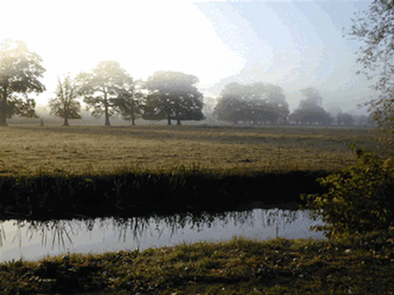 Countryside at Film location H174 in Buckinghamshire (photo 17)