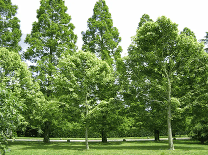 Film location H174 in Buckinghamshire (photo 18)