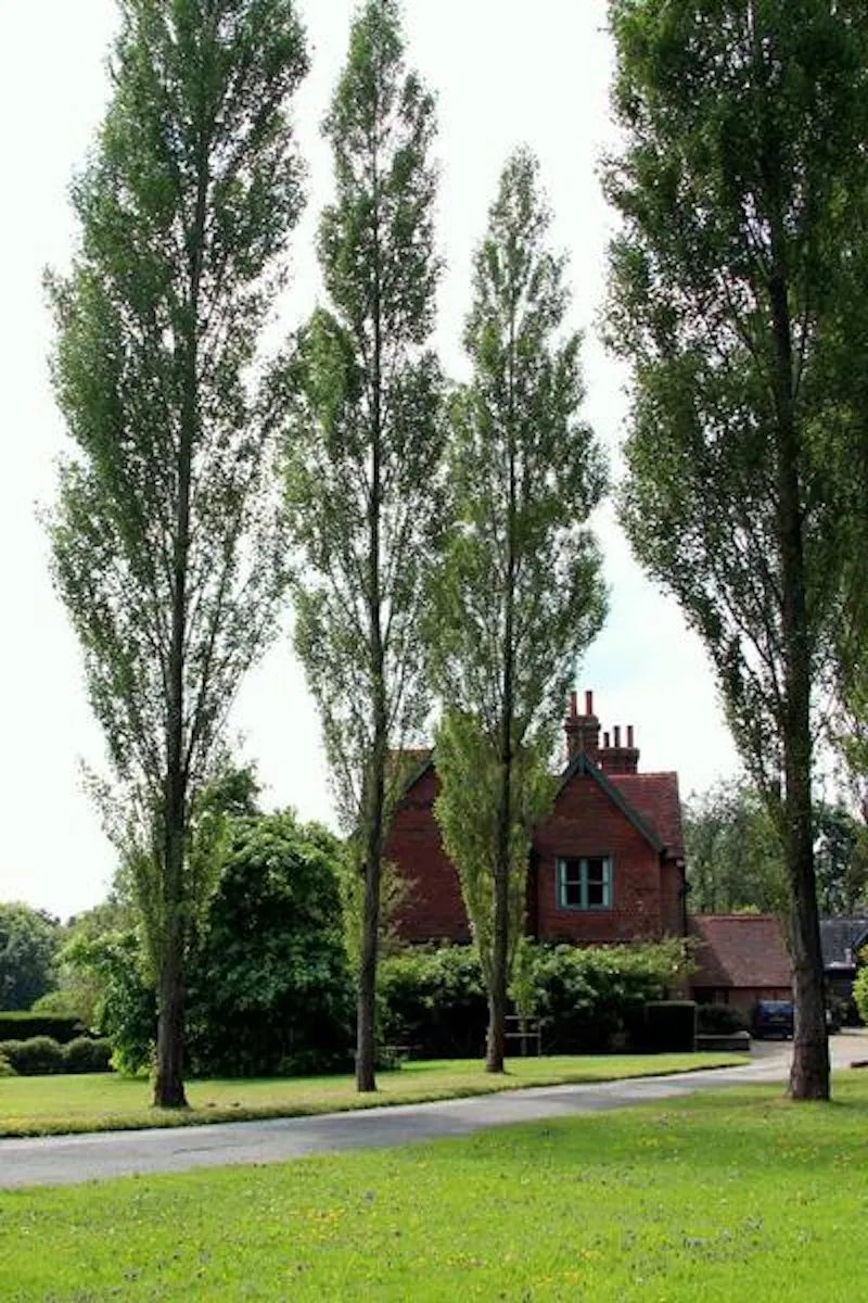 Characterful house in Markbeech, B1643 (photo 24)