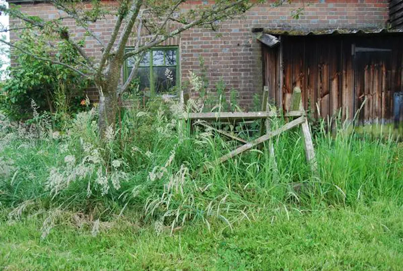 Film location C853 in Kent (photo 27)