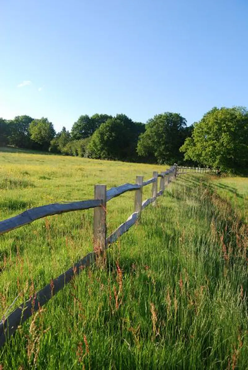 Garden at Film location C853 in Kent (photo 30)