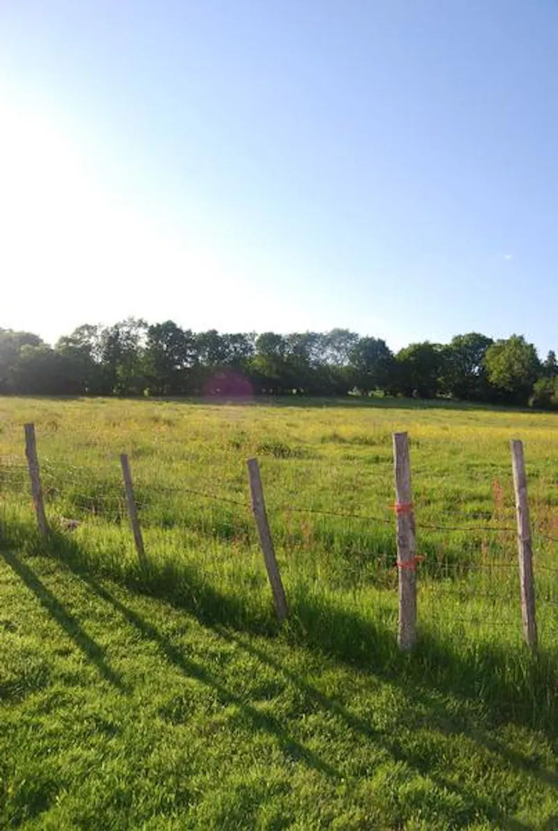 Film location C853 in Kent (photo 31)