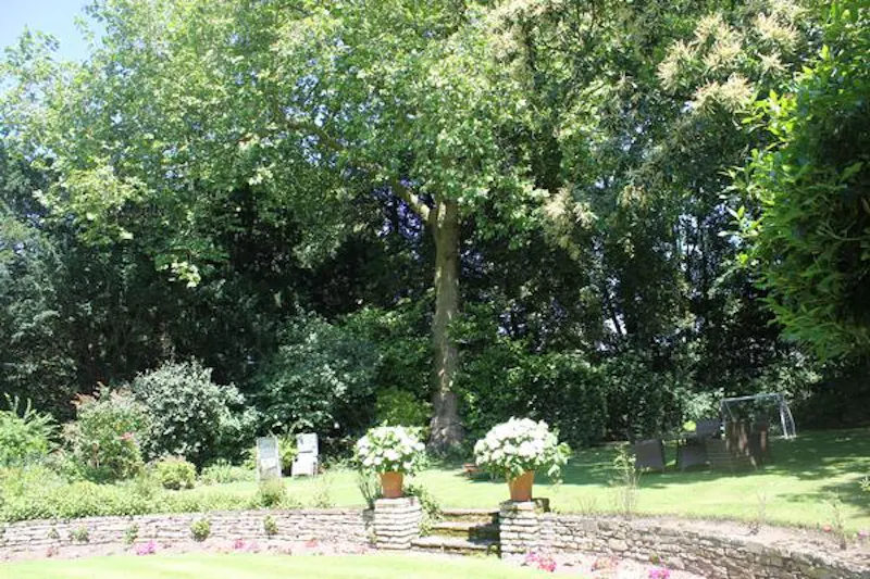 Arts and Crafts Imrrie in Esher, M288 (photo 41)