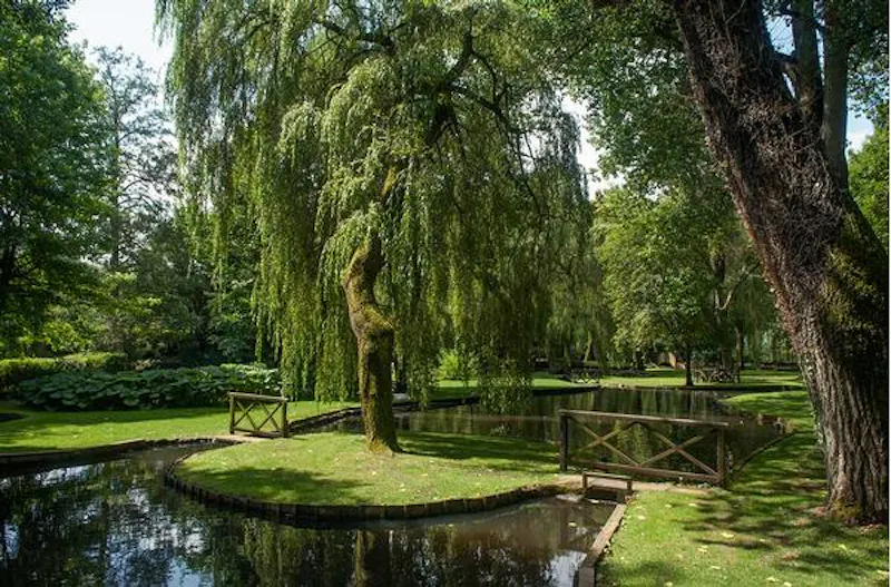 Lake at Sheer Guildford Mill house, B1648 (photo 45)