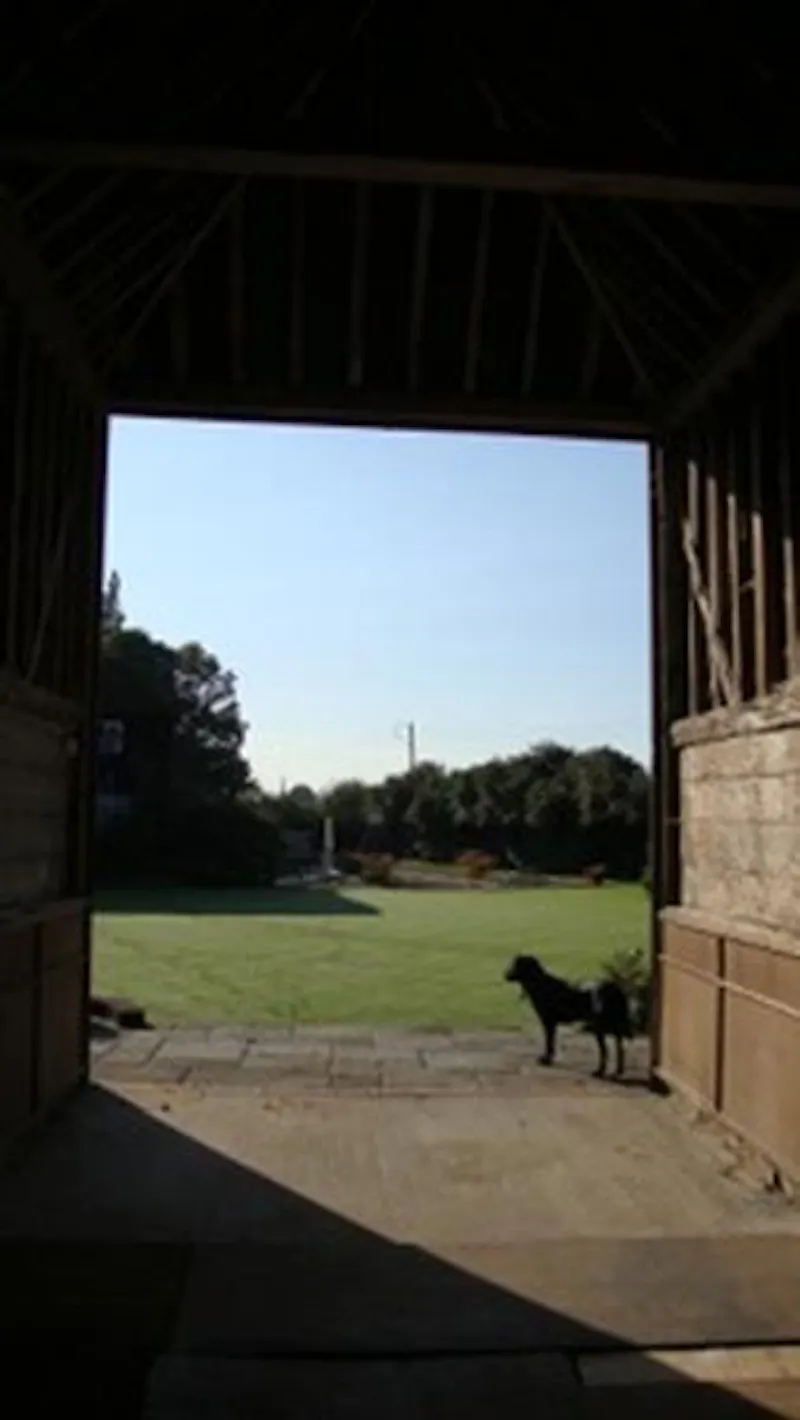 Film location L652 in Kent (photo 11)