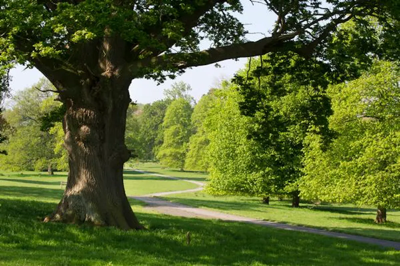 Views - country at Stately Georgian house in Ledbury, A1362 (photo 22)