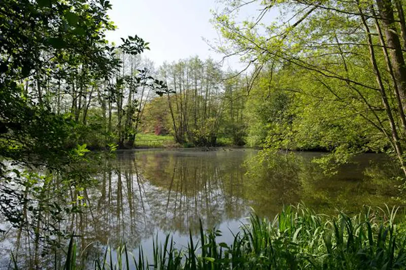 Lake at Stately Georgian house in Ledbury, A1362 (photo 24)