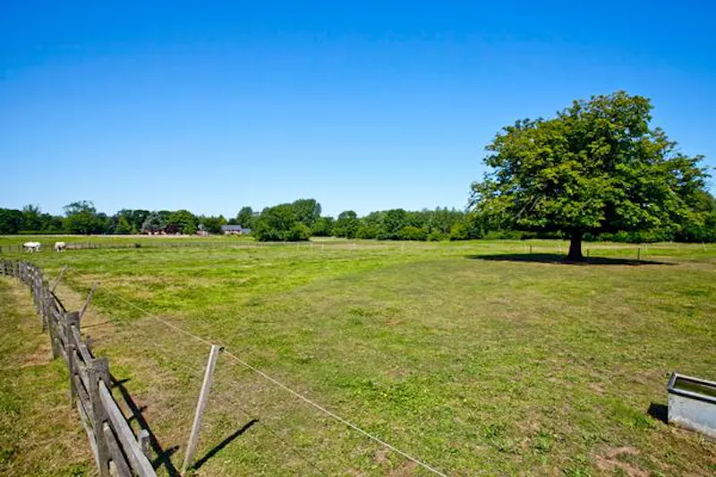 Countryside at Film location D2201 in Lincolnshire (photo 38)