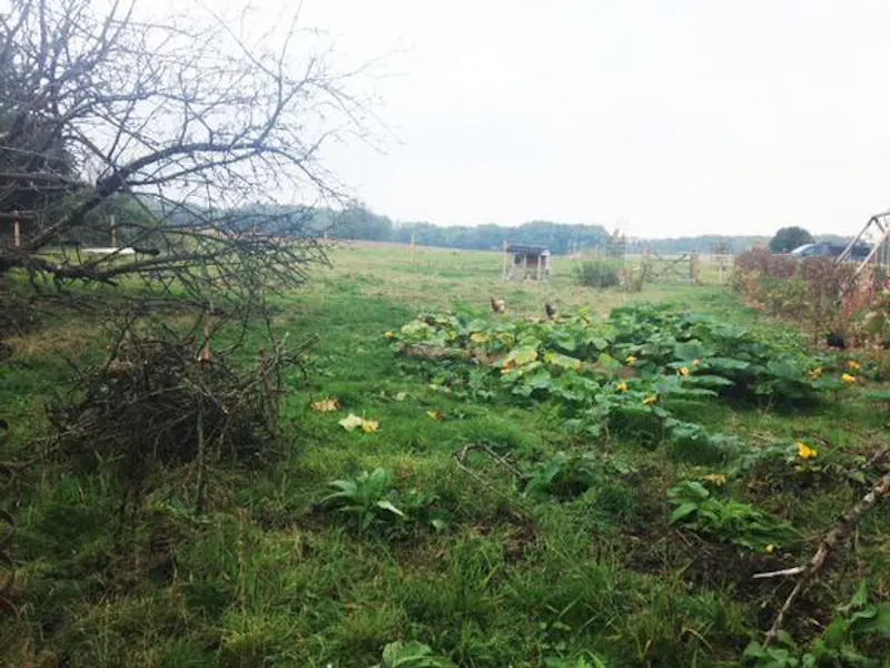 Film location C855 in Oxfordshire (photo 15)