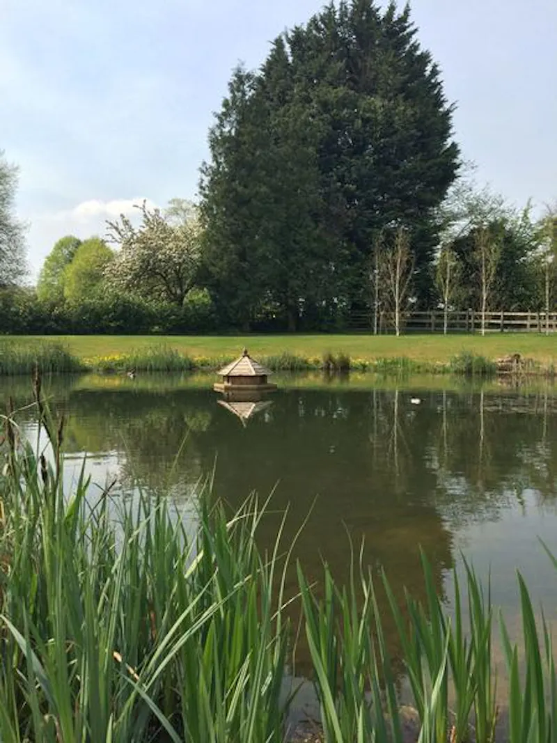 Countryside at Beautiful Ware Tudor house, M289 (photo 30)