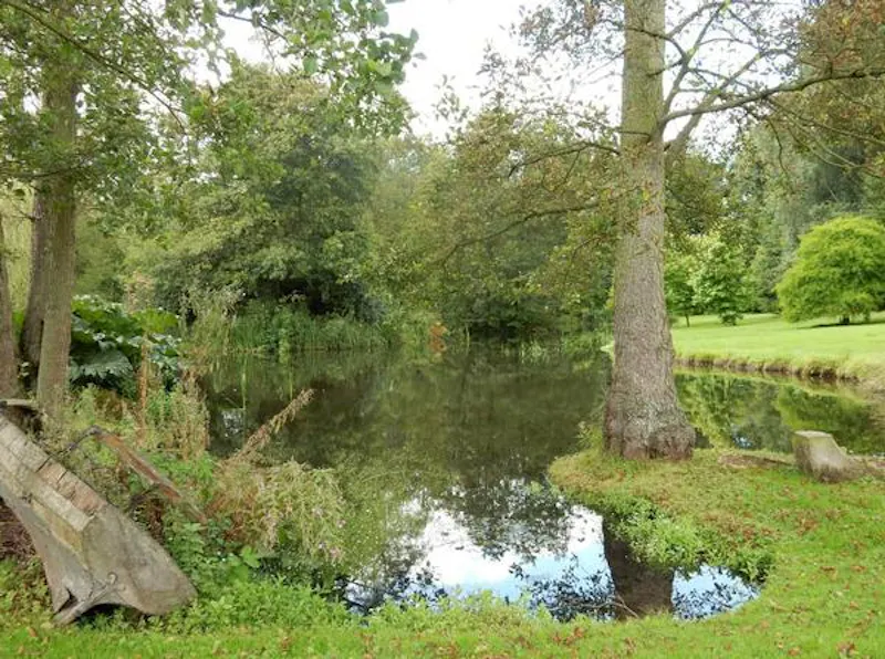 Lake at Tudor Cheshire country home, M291 (photo 12)