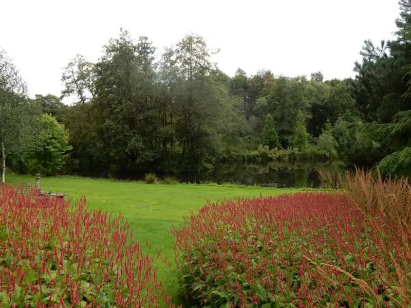 Tudor Cheshire country home, M291 (photo 14)