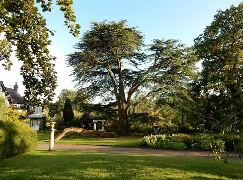 Tudor Cheshire country home, M291 (photo 16)
