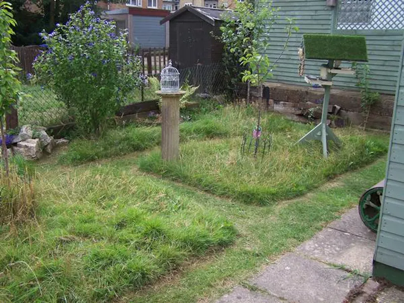 Garden at Authentic 50s Welwyn house, D2208 (photo 29)