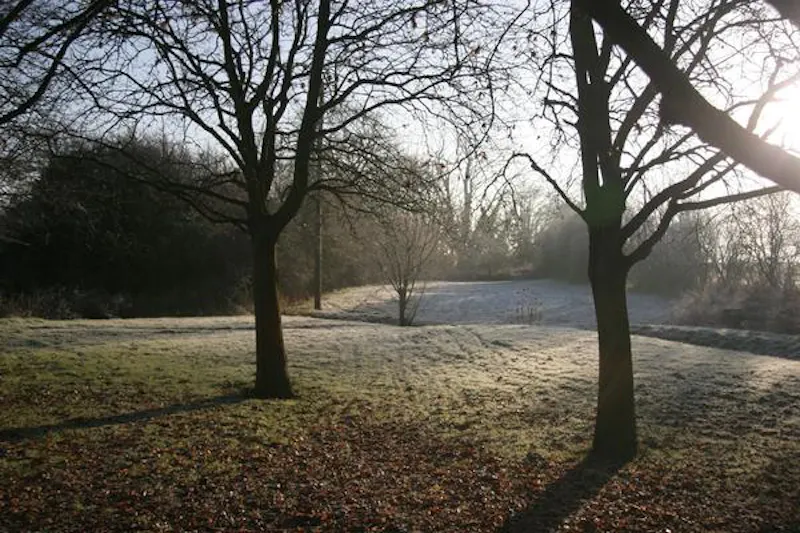 Countryside at Film location L655 in Warwickshire (photo 16)