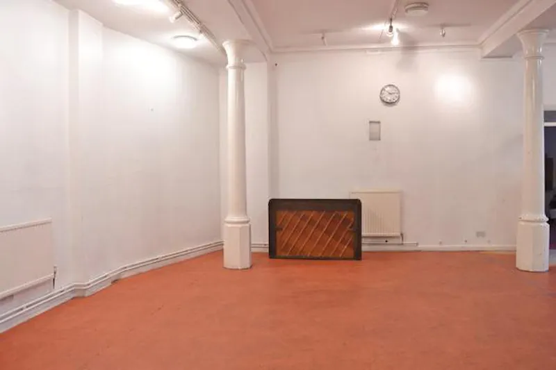 Victorian hall in Brixton, N394 (photo 8)