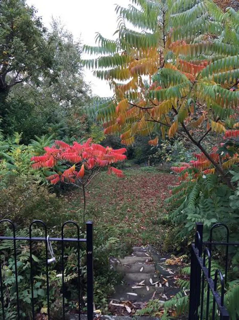 Garden at Norwood location house, B1669 (photo 68)
