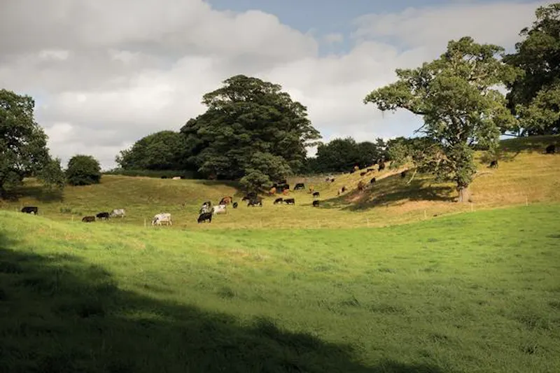 Countryside at Grand estate with chapel in Willington, A1381 (photo 63)