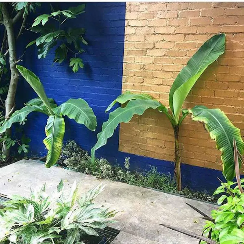 Balham tropical cube house, K401 (photo 11)