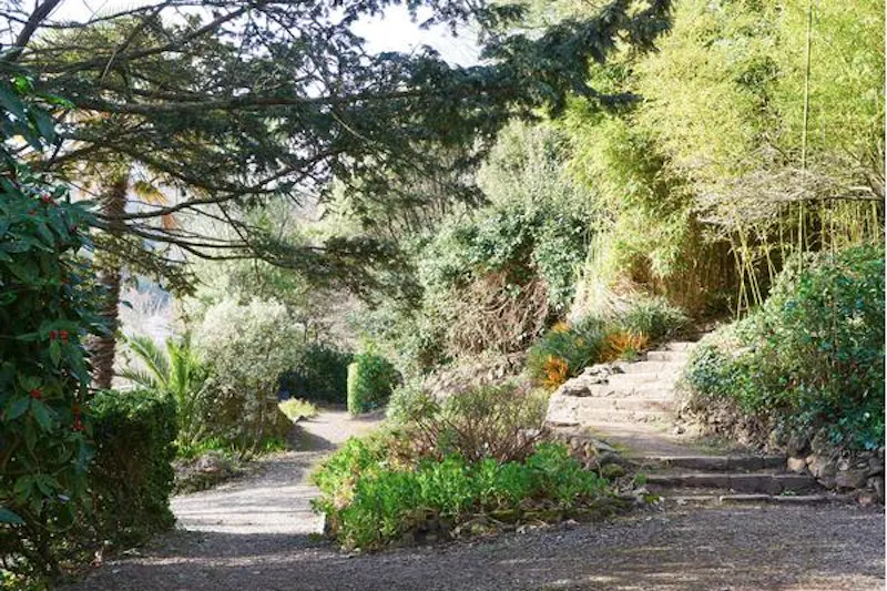 Shoot and stay Salcombe home, E416 (photo 49)