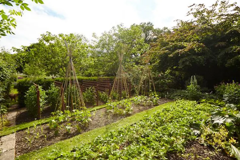 Garden - formal at Immaculate Devizes country house, A1384 (photo 30)
