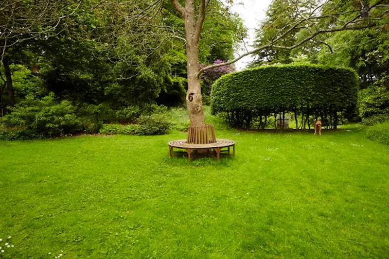 Immaculate Devizes country house, A1384 (photo 35)