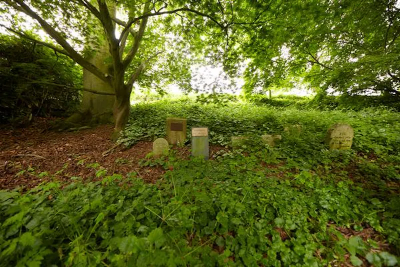 Immaculate Devizes country house, A1384 (photo 43)