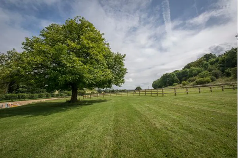 Garden at Film location D2257 in Hampshire (photo 30)