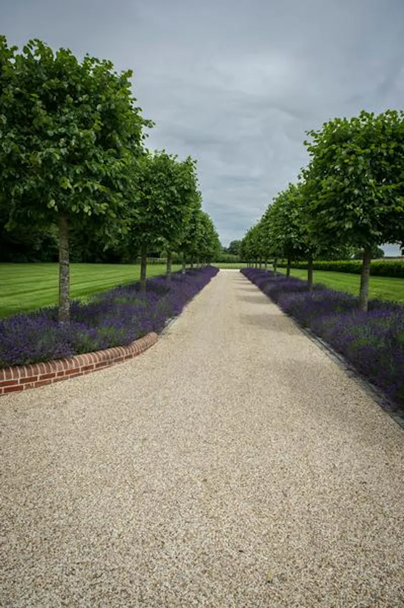 Film location D2257 in Hampshire (photo 32)